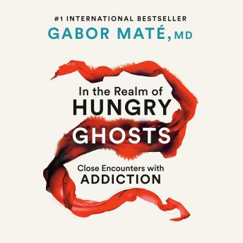 Download In the Realm of Hungry Ghosts: Close Encounters with Addiction by Gabor Maté