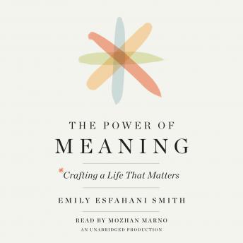 The Power of Meaning: Crafting a Life That Matters