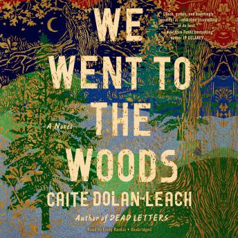 We Went to the Woods: A Novel