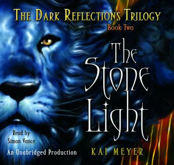 The Stone Light, The Dark Reflections: Book #2: Book Two