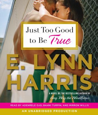 Just Too Good to Be True: A Novel, E. Lynn Harris