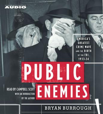 Public Enemies, Bryan Burrough