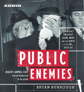 Public Enemies