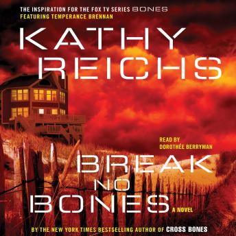 Break No Bones: A Novel