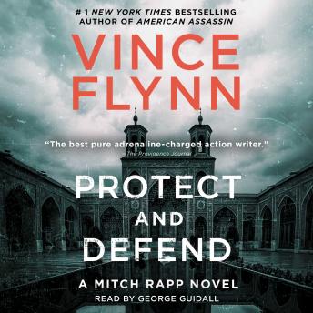 Protect and Defend: A Thriller