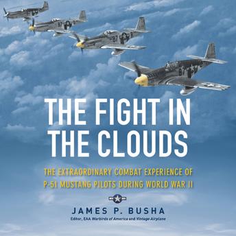 Fight in the Clouds: The Extraordinary Combat Experience of P-51 Mustang Pilots During World War II sample.