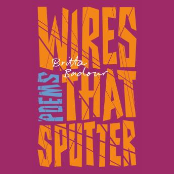 Wires that Sputter: Poems