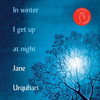 In Winter I Get Up at Night: A Novel