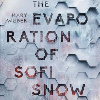 Download Evaporation of Sofi Snow by Mary Weber