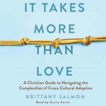 It Takes More Than Love: A Christian Guide to Navigating the Complexities of Cross-Cultural Adoption