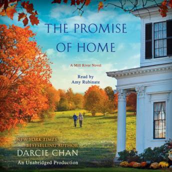 The Promise of Home: A Mill River Novel