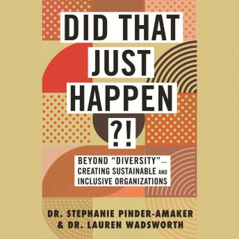 Did That Just Happen?!: Beyond 'Diversity'-Creating Sustainable and Inclusive Organizations