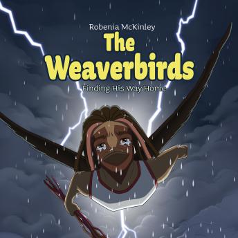 Weaverbirds: Finding His Way Home, Audio book by Robenia Mckinley