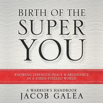 Birth Of The Super You: Knowing Strength, Peace and Abundance in a Stress-Fuelled World: A Warrior’s Handbook