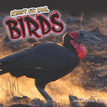 Creepy but Cool Birds
