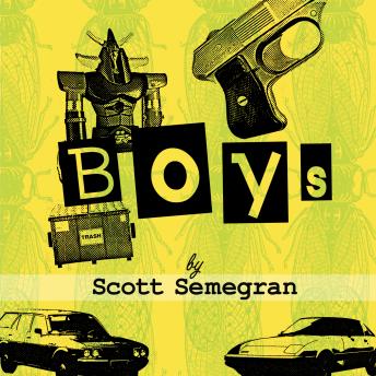 Boys: Stories about Bullies, Jobs, and Other Unpleasant Rites of Passage from Boyhood to Manhood