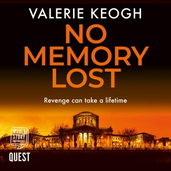 No Memory Lost: The Dublin Murder Mysteries Book 4