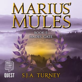 Marius' Mules V: Hades' Gate: Marius' Mules Book 5