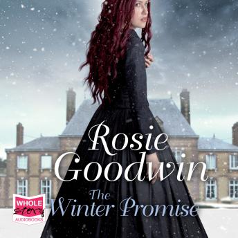 Download Winter Promise by Rosie Goodwin