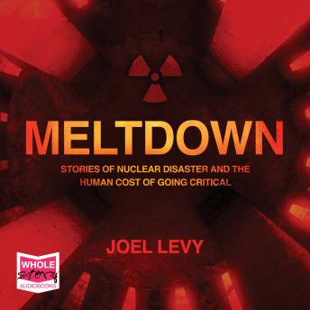 Meltdown: Nuclear disaster and the human cost of going critical