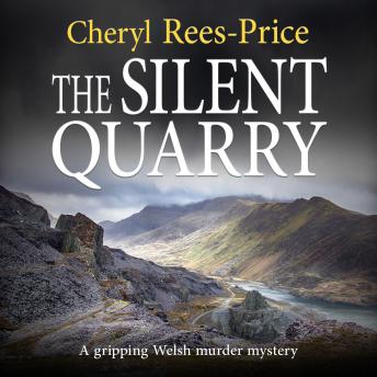 Silent Quarry: DI Winter Meadows Book 1, Cheryl Rees-Price