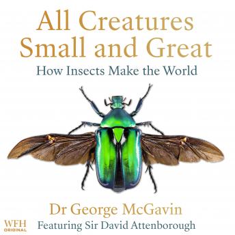 All Creatures Small and Great: How Insects Make the World