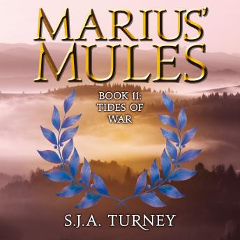 Marius' Mules XI: Tides of War: Marius' Mules Book 11