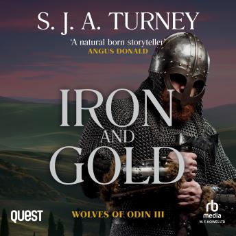 Iron and Gold: Wolves of Odin Book 3