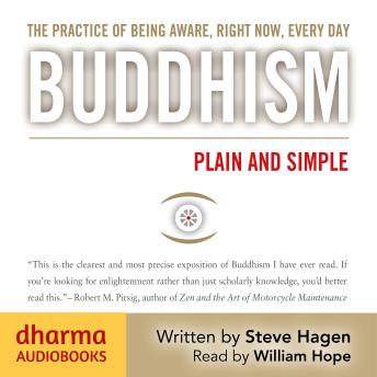 Download Buddhism Plain and Simple by Steve Hagen