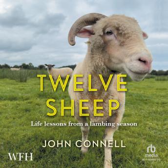 Download Twelve Sheep: Life Lessons from a Lambing Season by John Connell