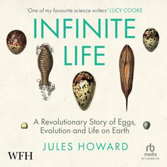Download Infinite Life: A Revolutionary Story of Eggs, Evolution and Life on Earth by Jules Howard