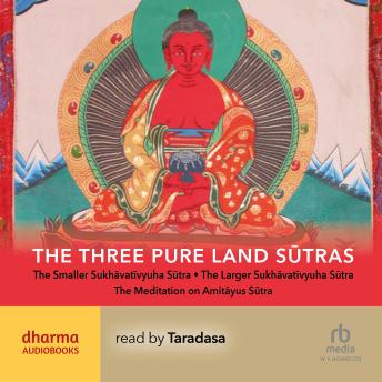 The Three Pure Land Sūtras: The Smaller and Larger Sukhavativyuha Sutras, Meditation on the Buddha Amitayus