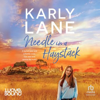 Needle in a Haystack