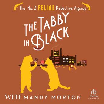 The Tabby in Black