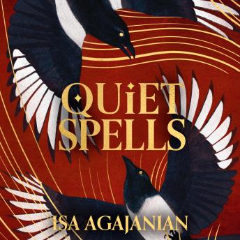 Quiet Spells: The bewitching dark academia for fans of Divine Rivals