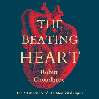 The Beating Heart: The Art and Science of Our Most Vital Organ