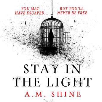 Stay in the Light: the chilling sequel to hit horror novel THE WATCHERS