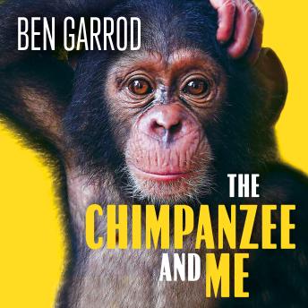 The Chimpanzee & Me