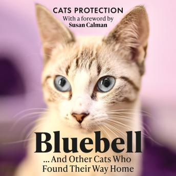 Bluebell ... And Other Cats Who Found Their Way Home: The perfect gift for cat lovers
