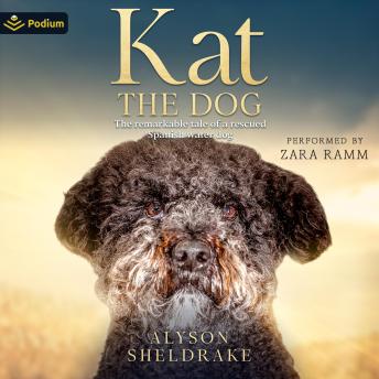 Kat the Dog: The Remarkable Tale of a Rescued Spanish Water Dog