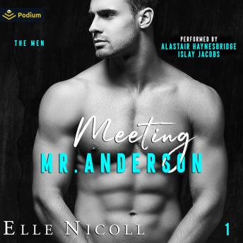 Meeting Mr. Anderson: The Men, Book 1
