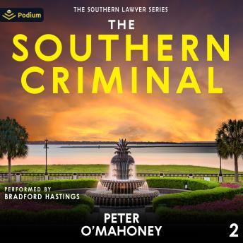 The Southern Criminal: The Southern Lawyer Series, Book 2