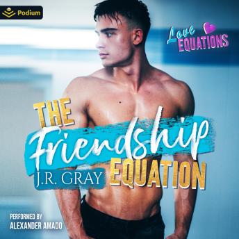 The Friendship Equation: Love Equations, Book standalone
