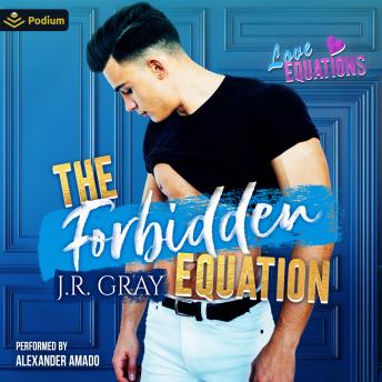 The Forbidden Equation: Love Equations, Book standalone