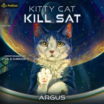 Kitty Cat Kill Sat: A Feline Space Adventure