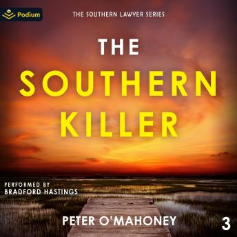 The Southern Killer: The Southern Lawyer Series, Book 3