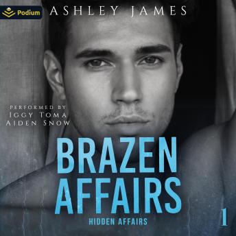 Brazen Affairs: Hidden Affairs, Book 1