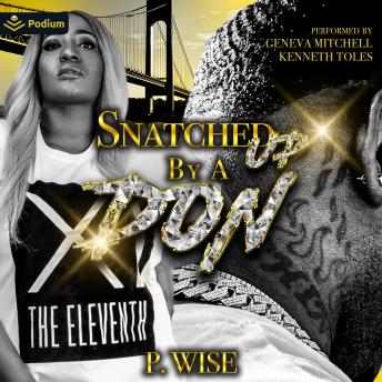 Snatched Up by a Don: Snatched Up by a Don, Book 1