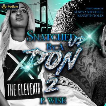 Snatched Up by a Don 2: Snatched Up by a Don, Book 2