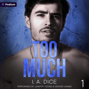 Too Much: Hayes Brothers, Book 1